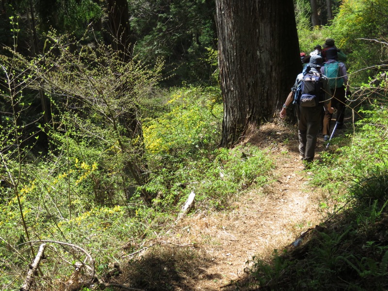 石裂山・登山