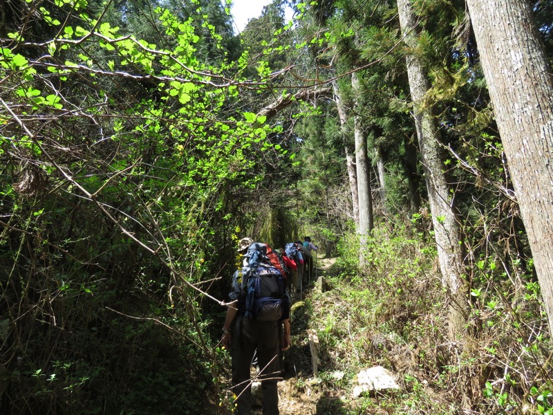 石裂山・登山