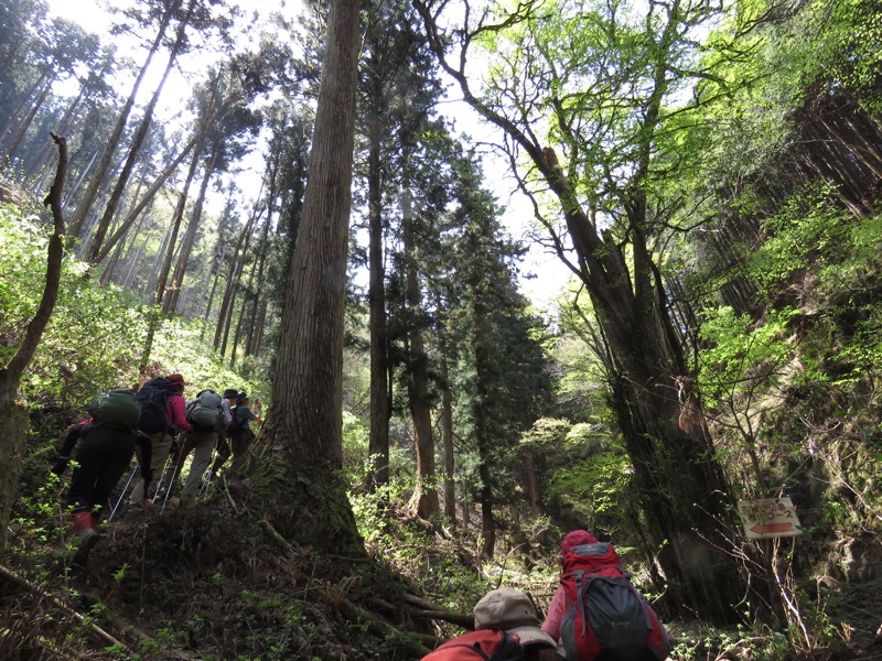 石裂山・登山