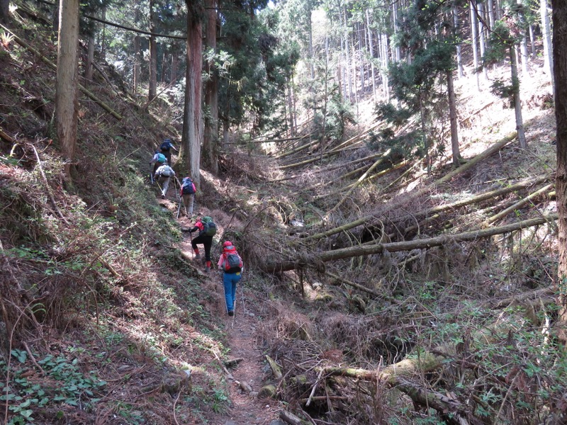 石裂山・登山