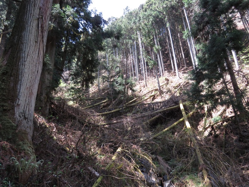 石裂山・登山