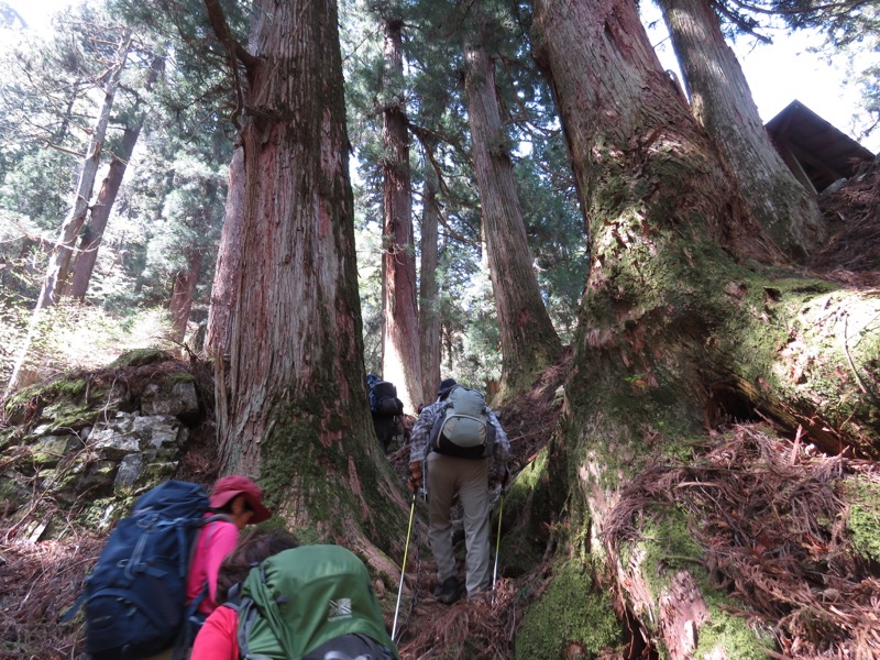 石裂山・登山