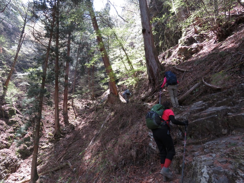 石裂山・登山