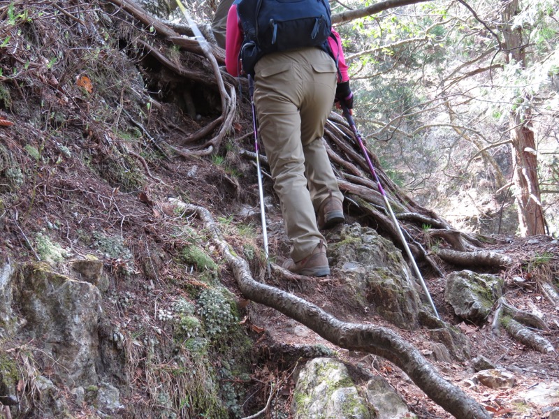 石裂山・登山