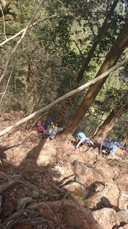 石裂山・登山