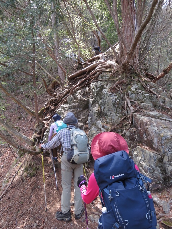 石裂山・登山