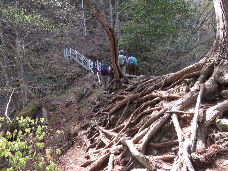 石裂山・登山