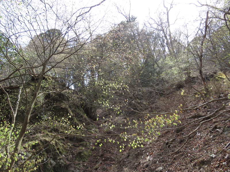 石裂山・登山