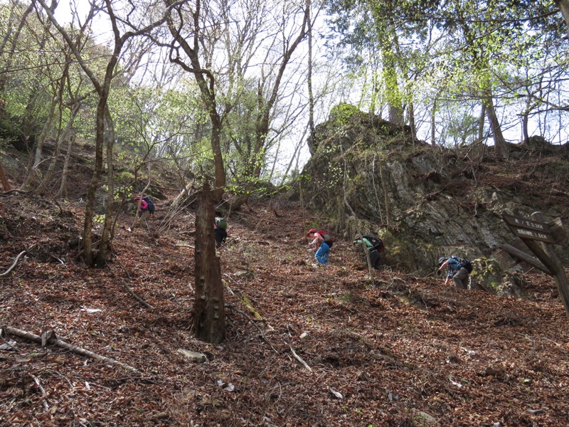 石裂山・登山