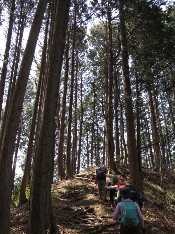 石裂山・登山