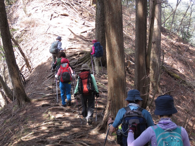 石裂山・登山