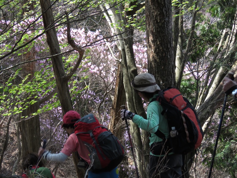 石裂山・登山