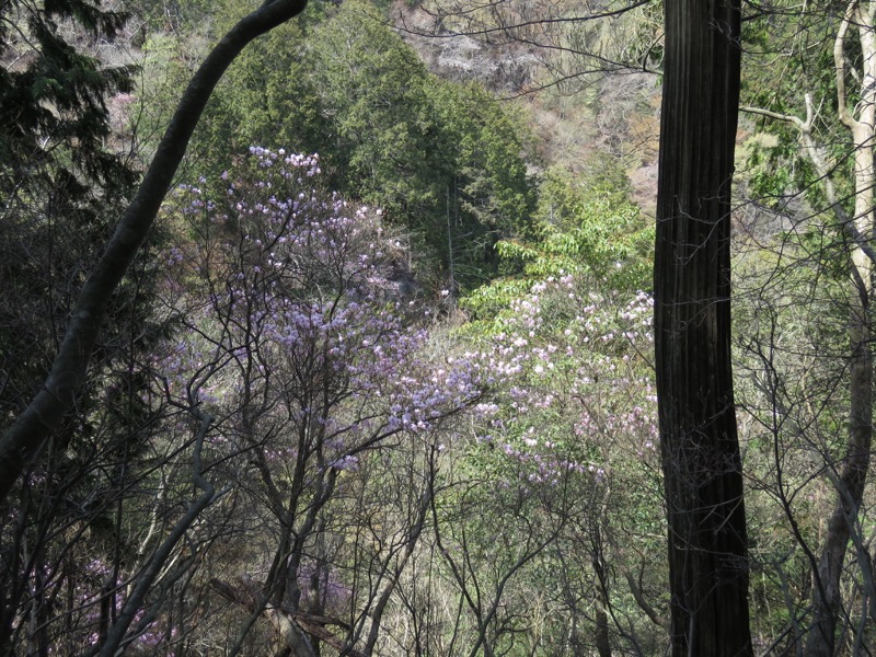 石裂山・登山