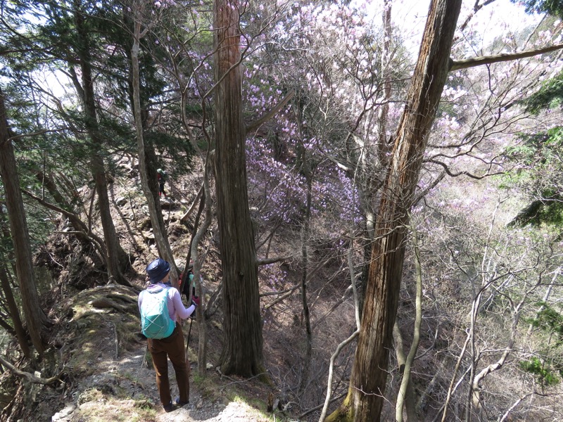 石裂山・登山