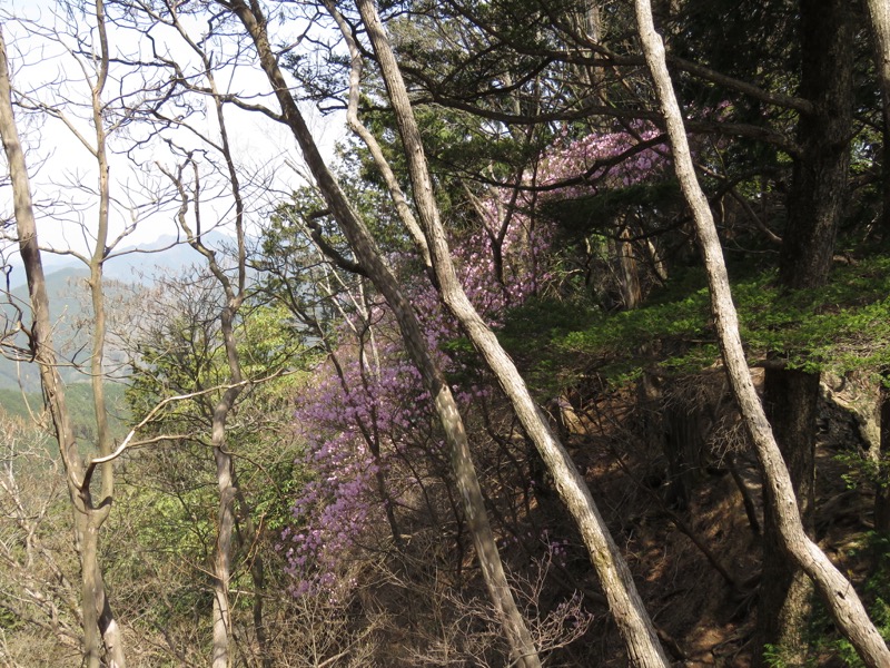 石裂山・登山