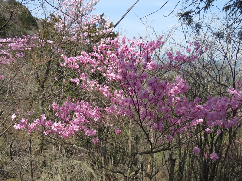 石裂山・登山