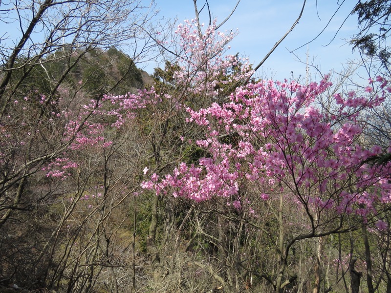 石裂山・登山