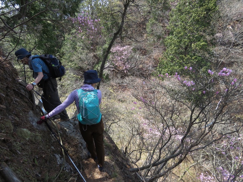 石裂山・登山