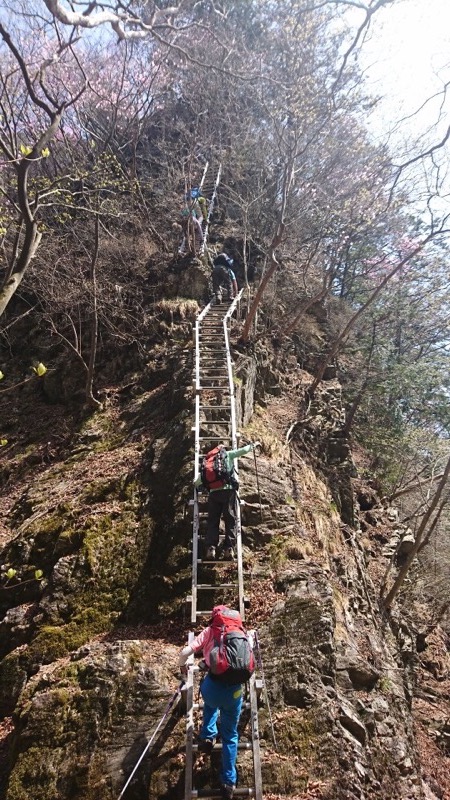 石裂山・登山