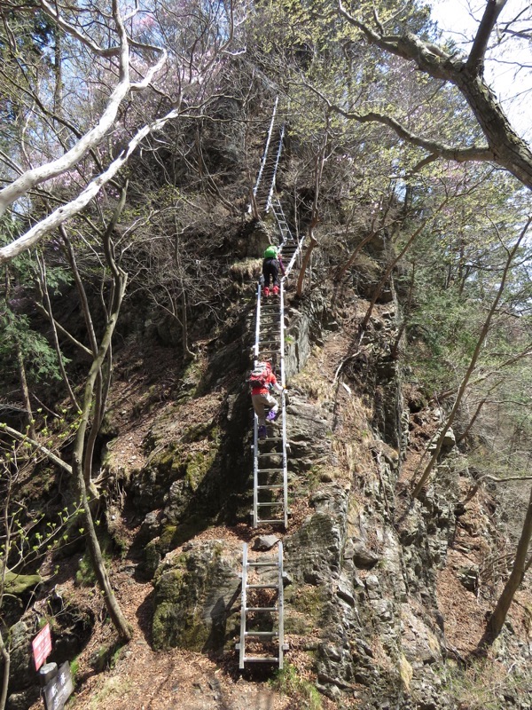 石裂山・登山