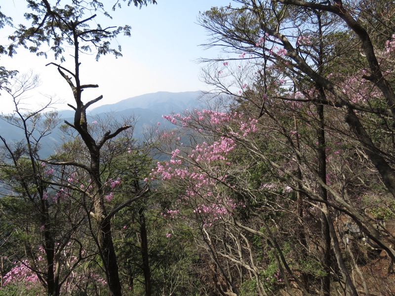 石裂山・登山