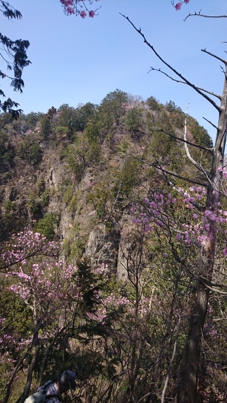 石裂山・登山