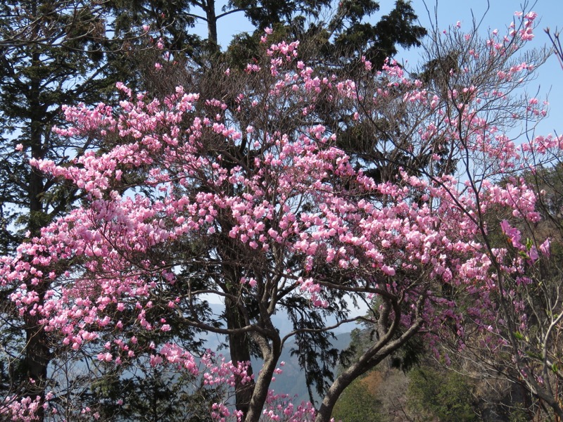 石裂山・登山