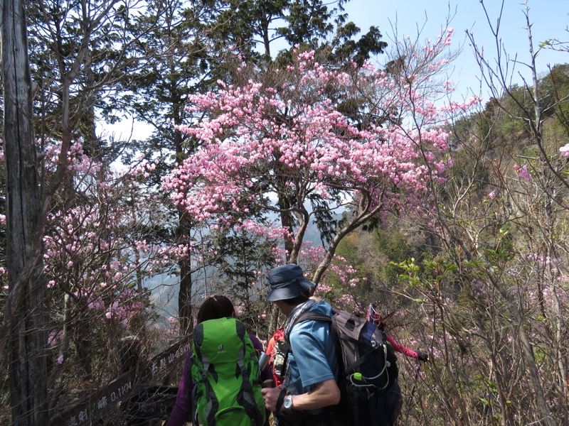 石裂山・登山