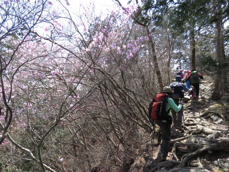 石裂山・登山