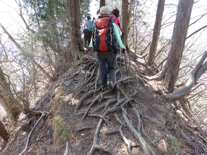 石裂山・登山