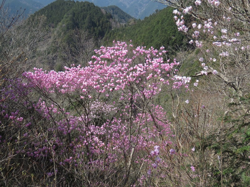 石裂山・登山