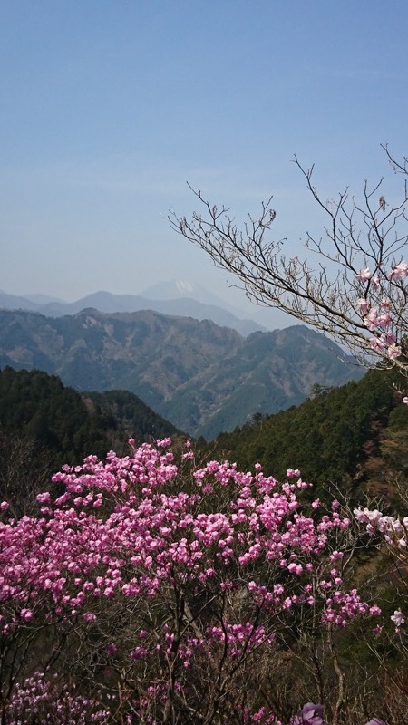 石裂山・登山