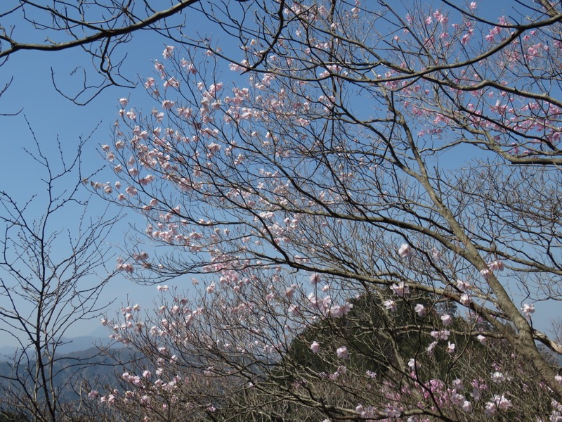 石裂山・登山