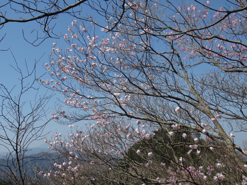 石裂山・登山