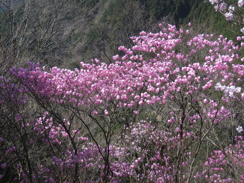 石裂山・登山