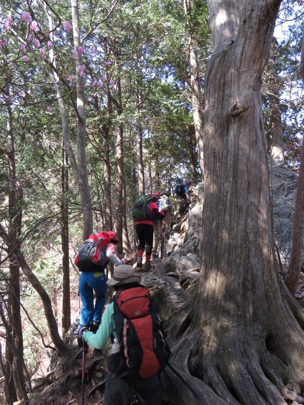 石裂山・登山