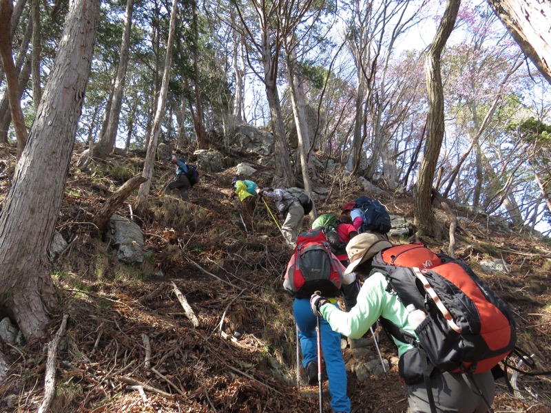 石裂山・登山