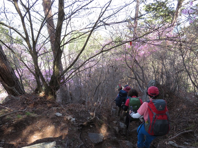 石裂山・登山