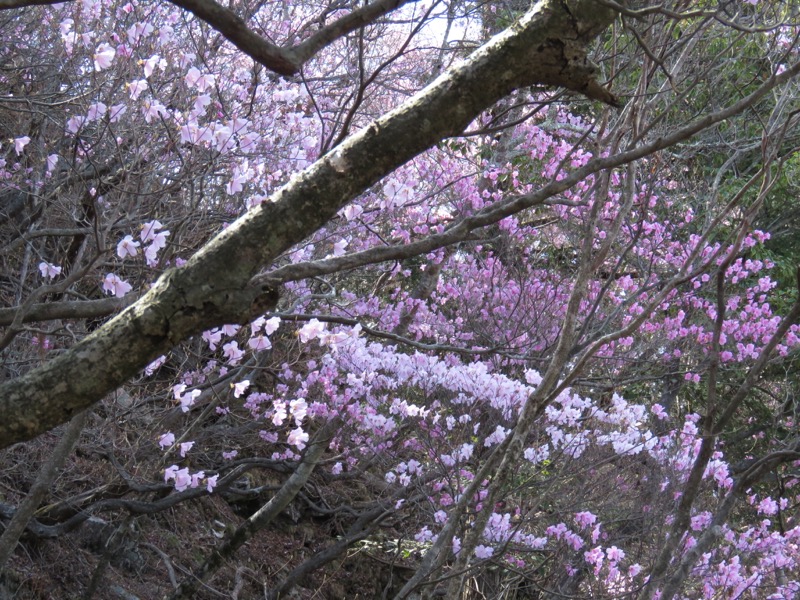 石裂山・登山