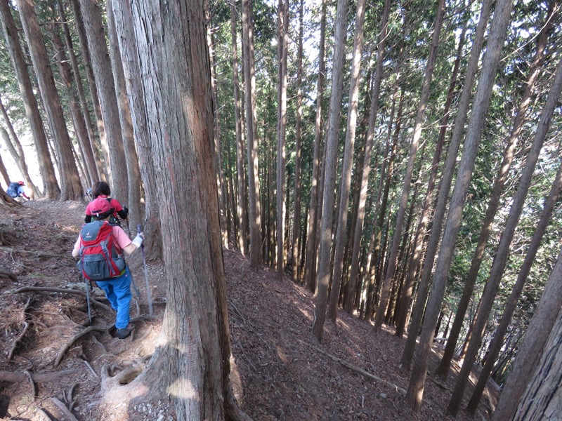 石裂山・登山