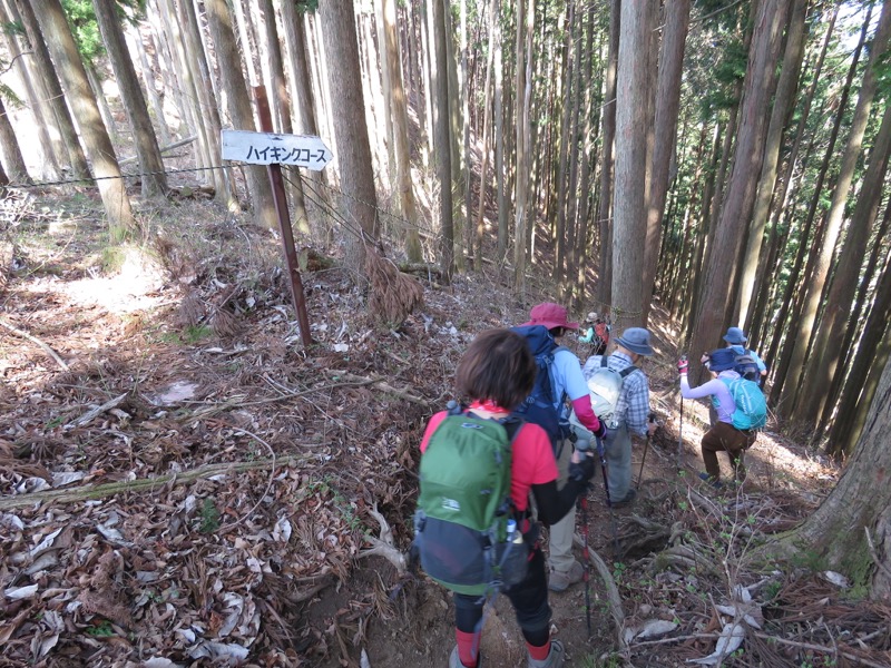 石裂山・登山