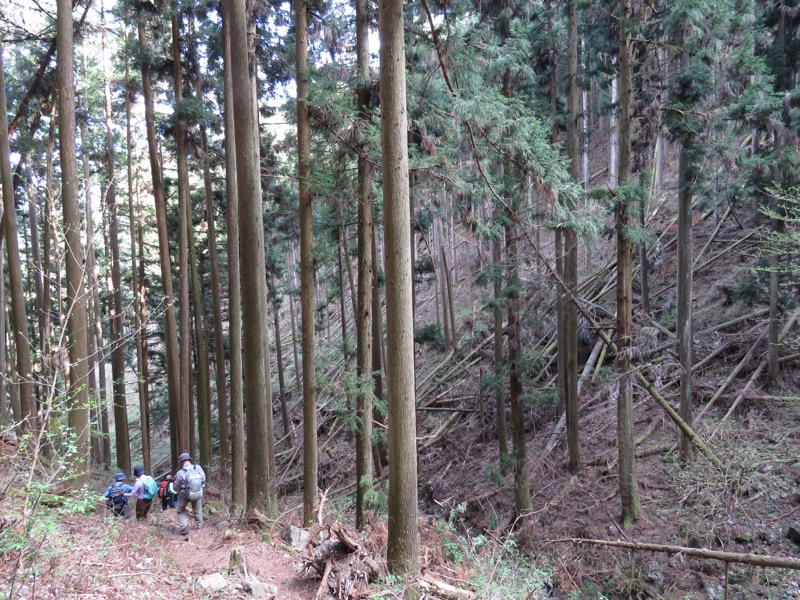 石裂山・登山