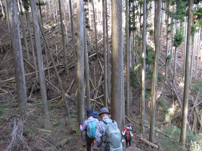 石裂山・登山