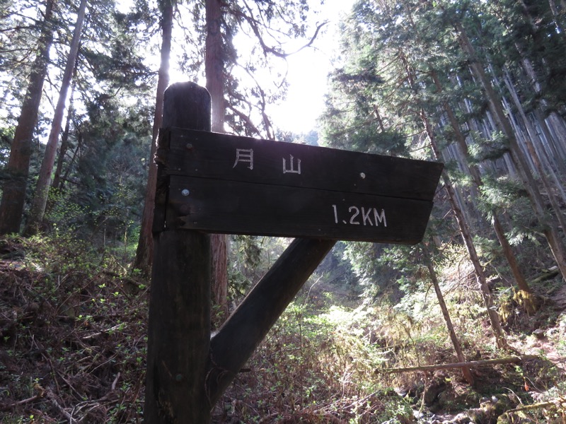 石裂山・登山