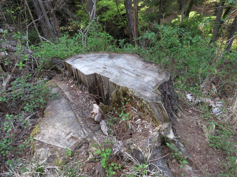 石裂山・登山