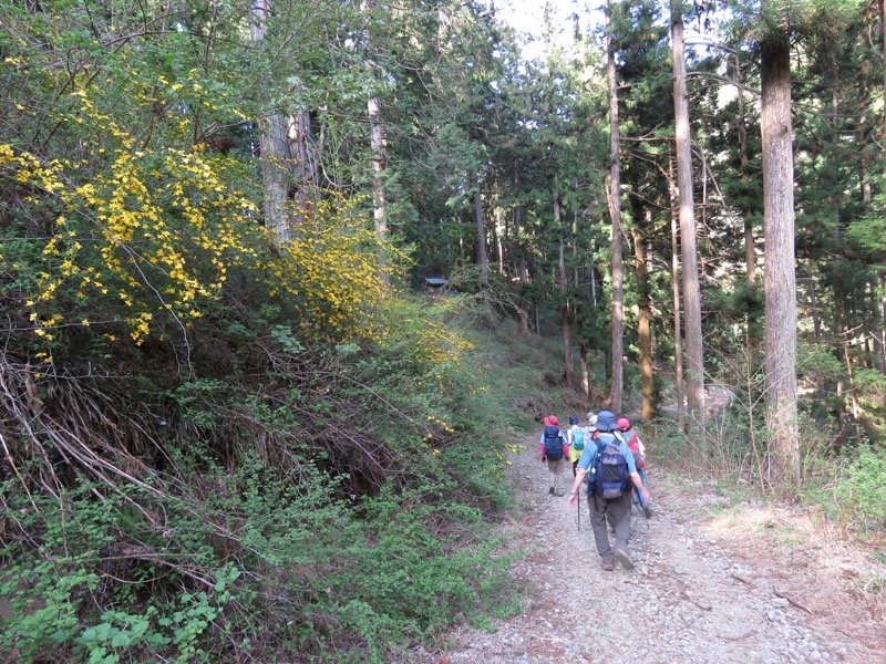 石裂山・登山