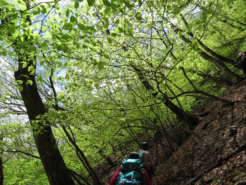 両神山・登山