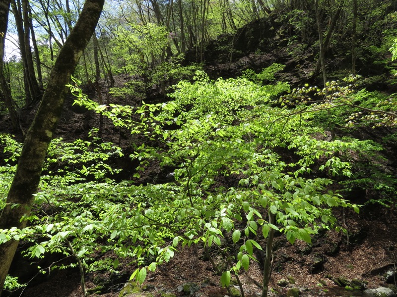 両神山・登山