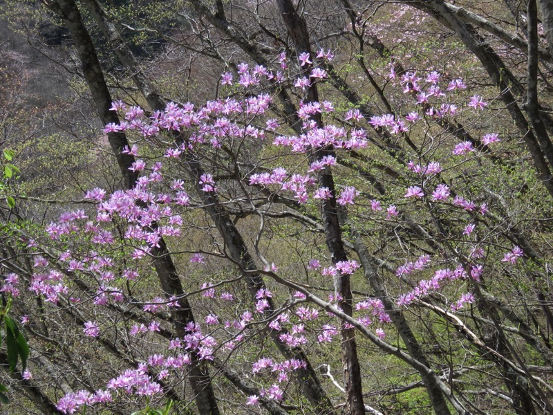 両神山・登山