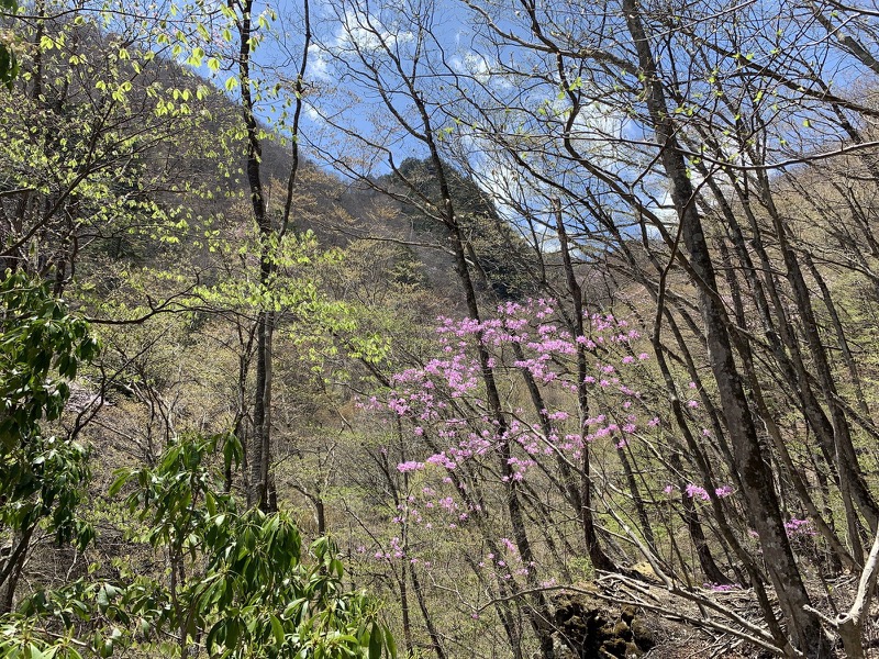 両神山・登山